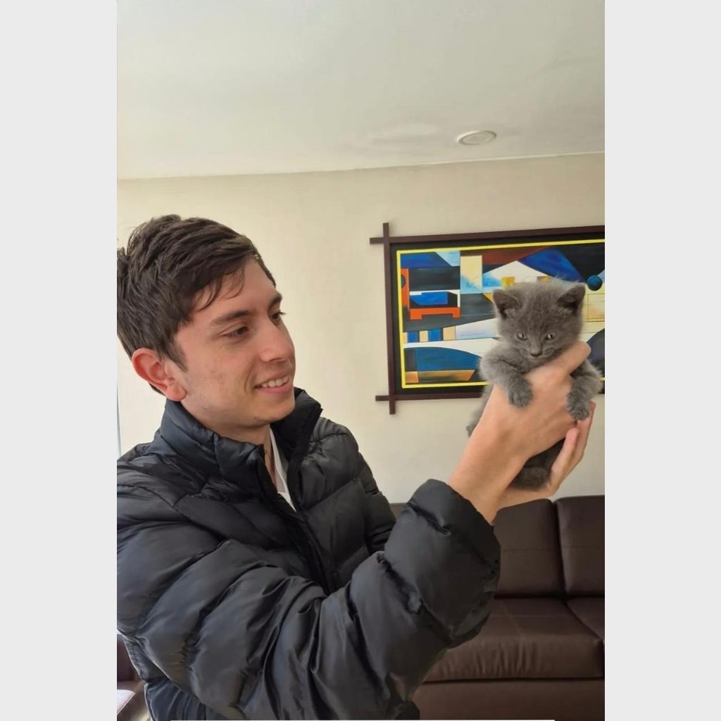 Daniel O. recibiendo su gato Ruso Azul en Bucaramanga