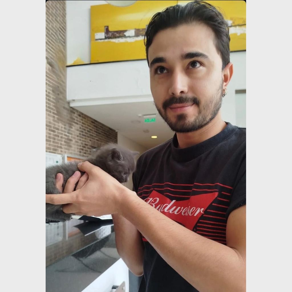 Julián C. recibiendo su gato Ruso Azul en Bogotá